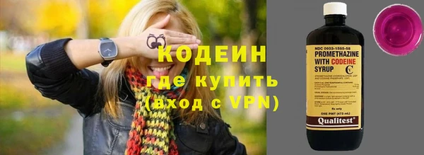 хмурый Алзамай