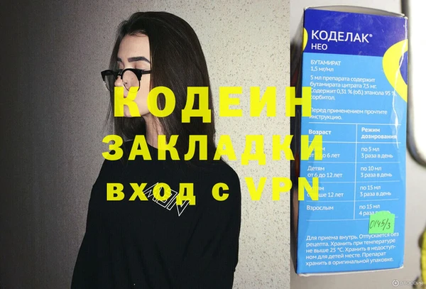хмурый Алзамай