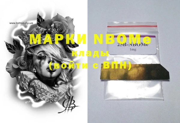 хмурый Алзамай