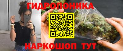 скорость Бийск