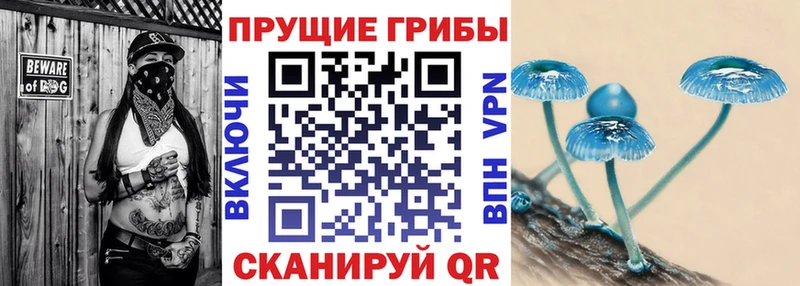 Псилоцибиновые грибы мухоморы  Боровичи 