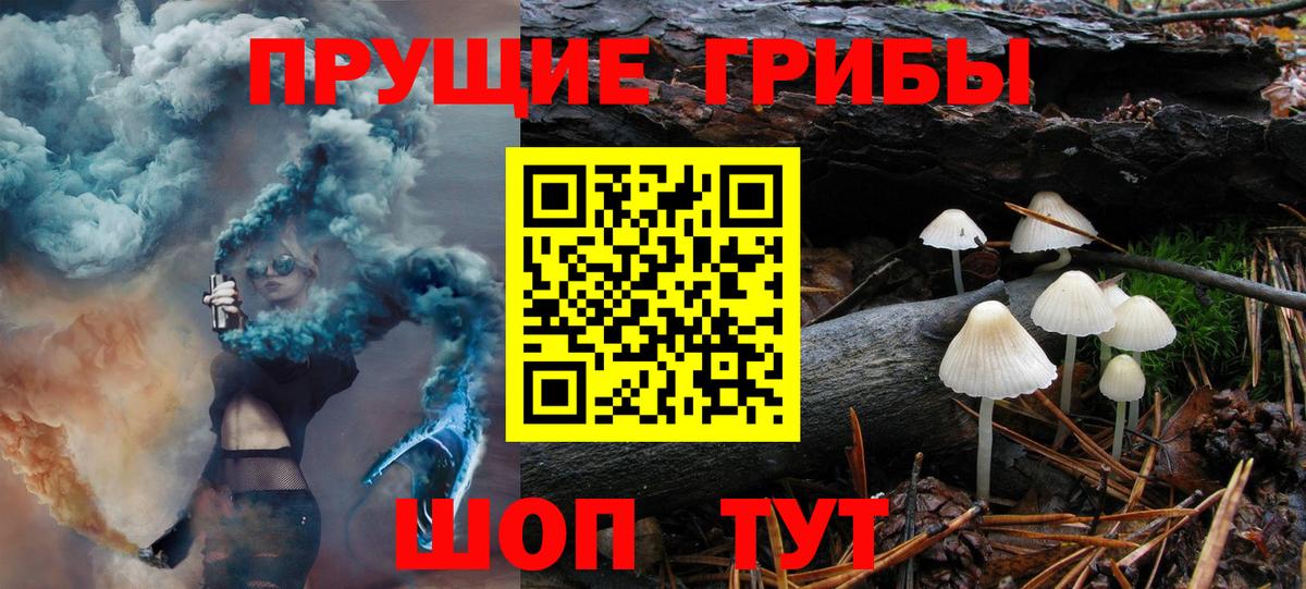 Псилоцибиновые грибы мухоморы  Псилоцибиновые грибы Psilocybe  цена наркотик  Вход с VPN  Боровичи 